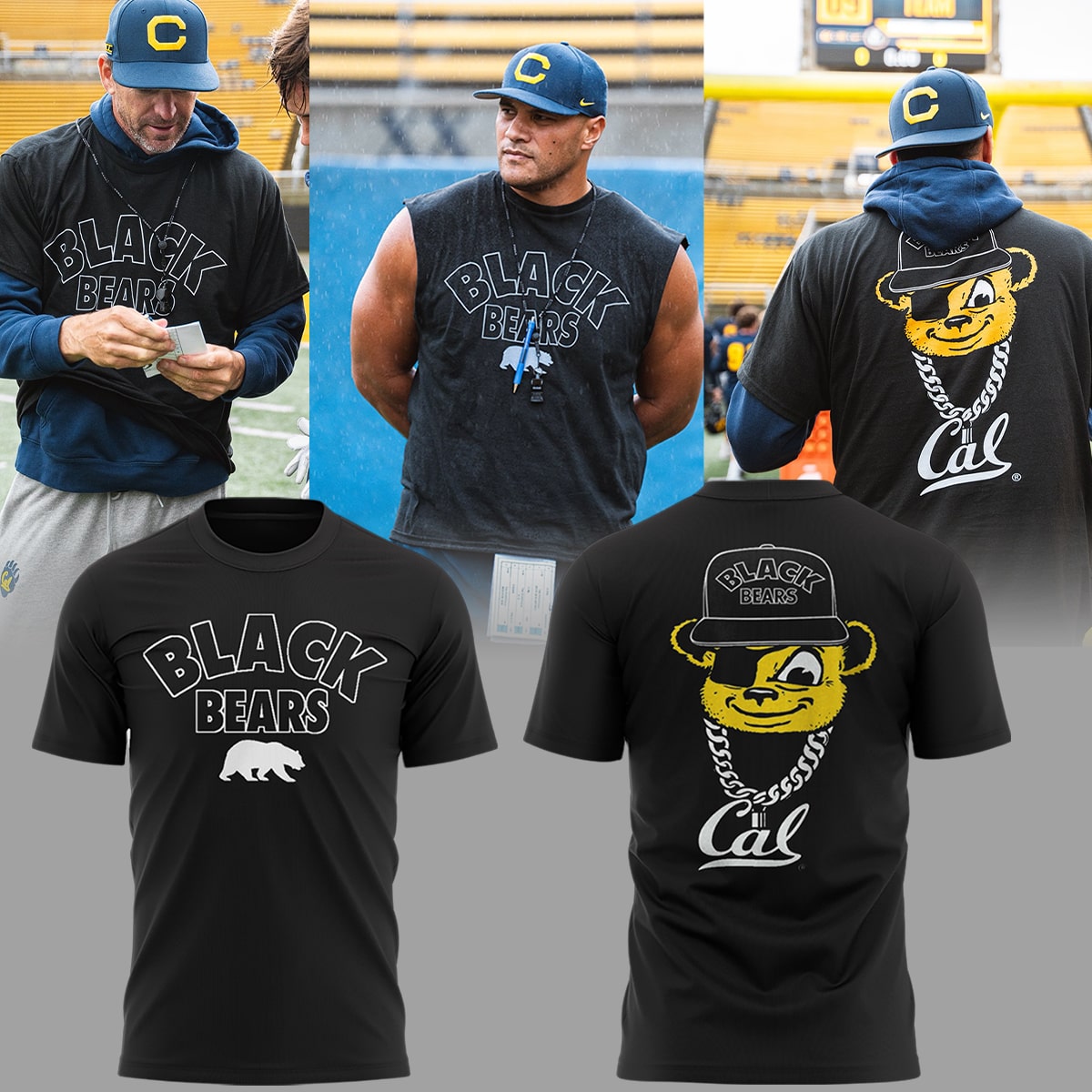 Limited Edition Black Bear sightings in Berkeley Tshirt-ND10032556
