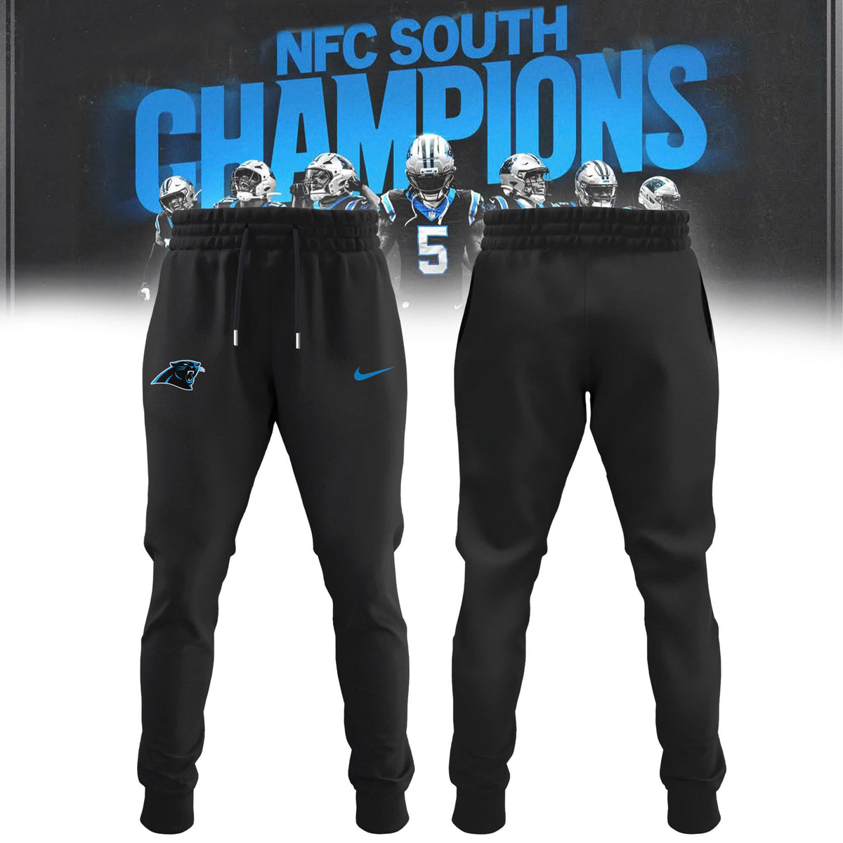 _ Carolina Panthers 2025 NFC South Division Champions Hoodie
